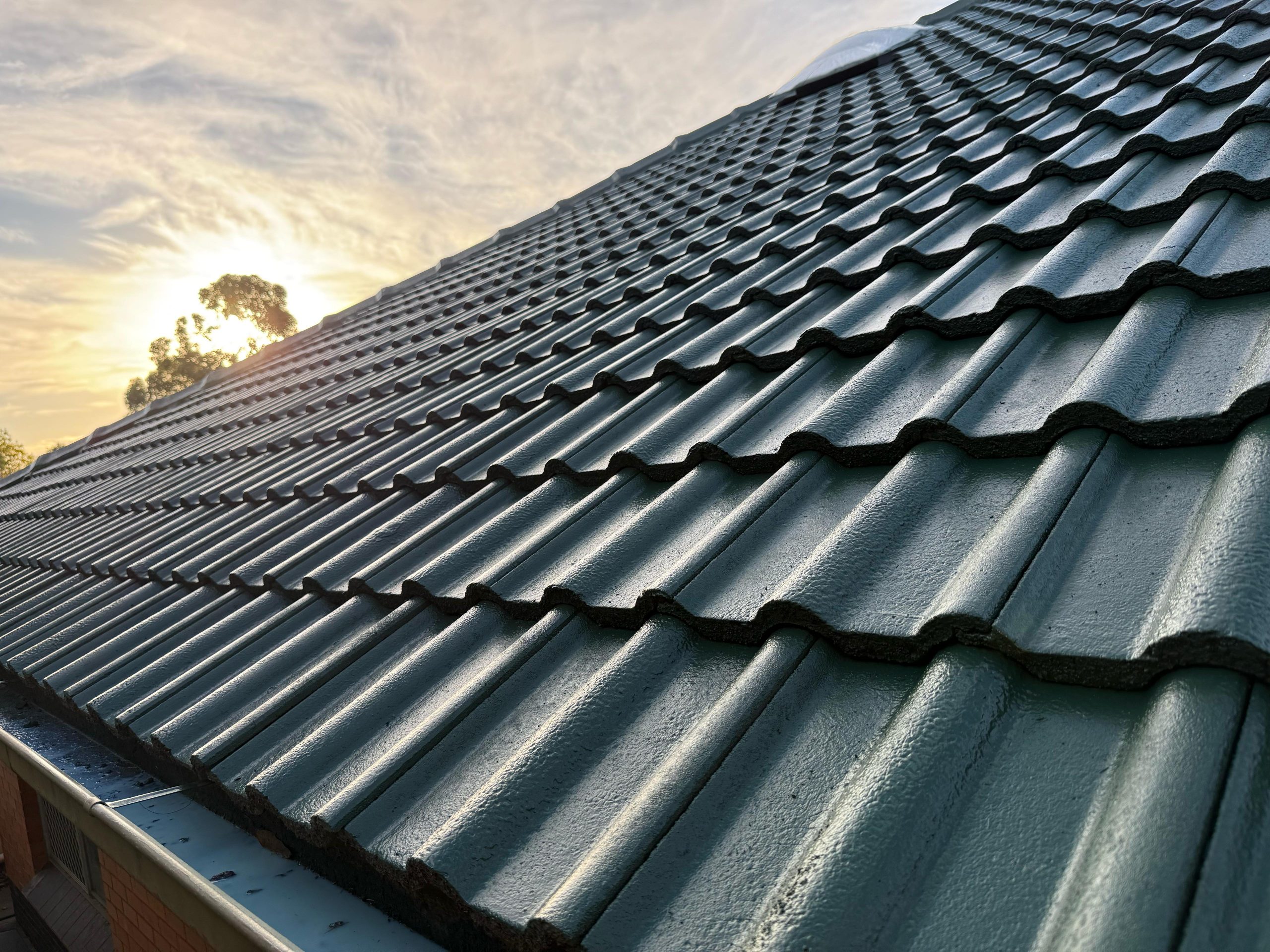 roof repair 